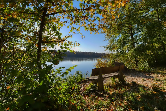 近期在欧冠 近期在欧冠