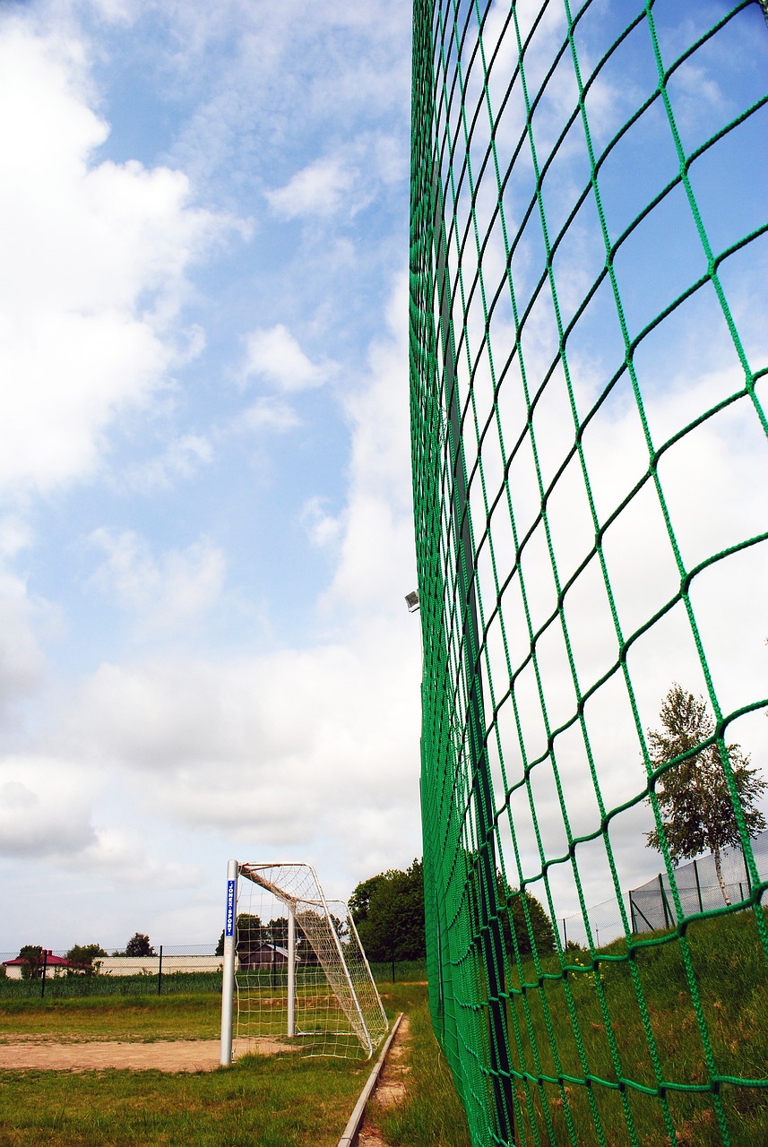 仅能够增强 仅能够增强