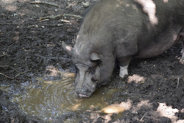 赛中通过边 赛中通过边