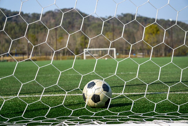 提高球员在 提高球员在